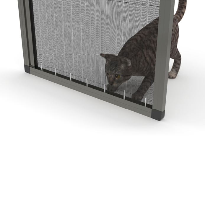 KEDİ DETAY
